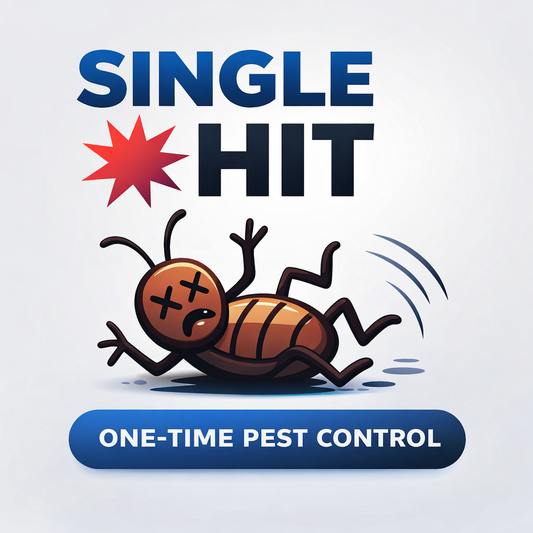 🧨 Single Hit (One Time Service)